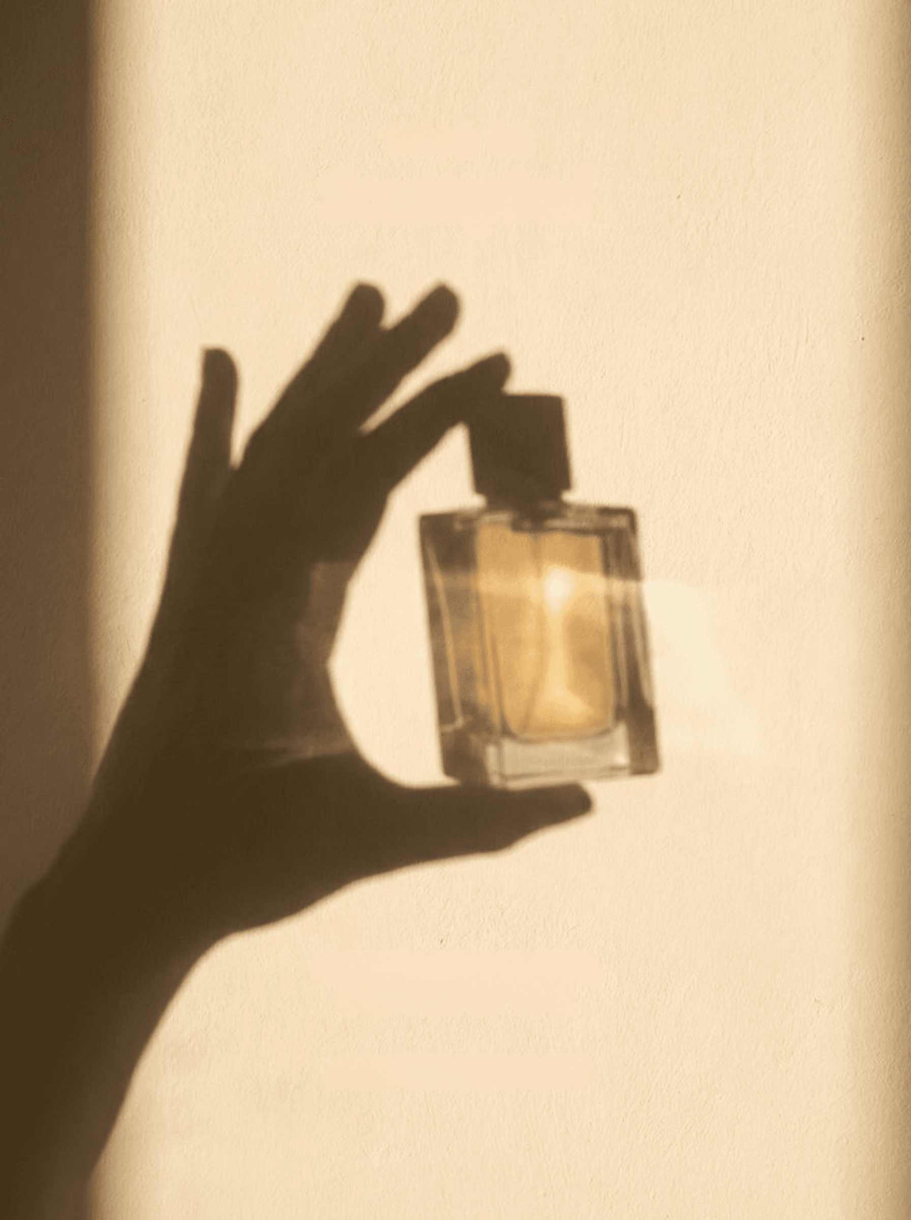 Amberwood Eau de Toilette